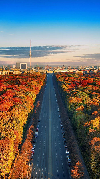 City landscape, Autumn HD phone wallpaper