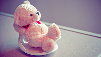 Pink Teddy Bear, teddy-bears, cute, love, pink HD wallpaper