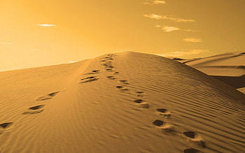 Footprints HD wallpaper