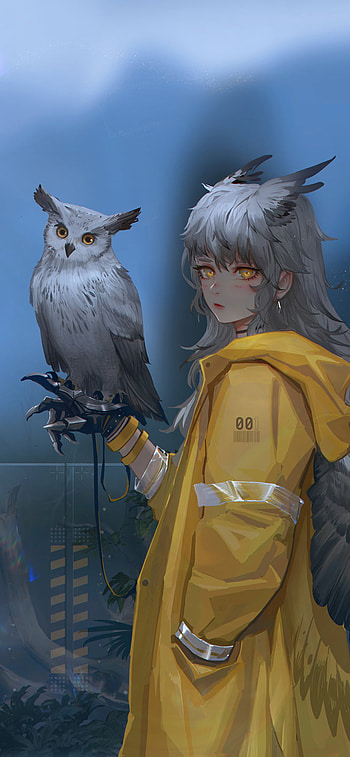 owl, wings, Anime, Original HD phone wallpaper