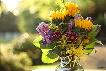 Glamorous sunday morning, sunshine, morning, clean, garden, glamorous, fresh, love, green, yellow HD wallpaper