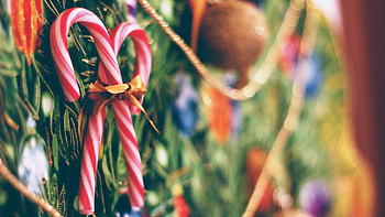 Candy cane , Festive backgrounds, Delicious treats, Holiday delight HD wallpaper