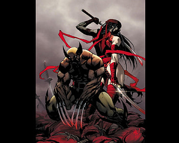 Wolverine And Elektra, Swords, The Hand, Claws, Marvel Comiics HD wallpaper