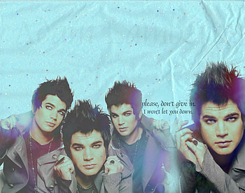 happy mothers days with adam lambert, ol, lo, lol HD wallpaper