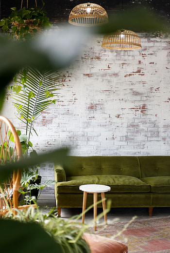 Plants, Flowers, Interior, Miscellanea, Miscellaneous, Room, Furniture HD phone wallpaper