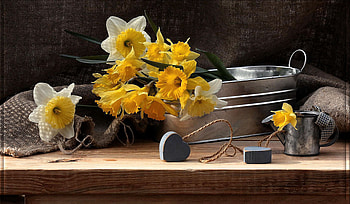 still life, bouquet, graphy, daffodils, beautiful, romance, spring, nice, flower, love, cool, hearts, flowers, , heart, harmony HD wallpaper