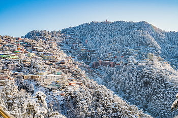 A scenic view of Shimla in winter, with snow-covered buildings and forests under a clear blue sky. HD wallpaper