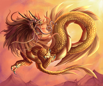 Golden Chinese Dragon:, golden, dragon, pink, warrior HD wallpaper