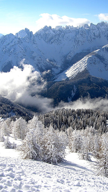 Snow, White Nature HD phone wallpaper