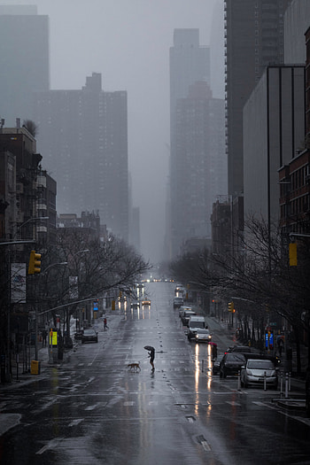 New York Streets, Abandoned Streets, Apocalypse Movie HD phone wallpaper