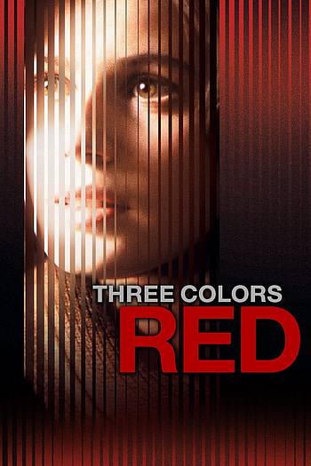 Three Colors, Red movie, Emotional drama, Cinematic masterpiece HD phone wallpaper
