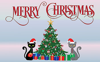 Merry Christmas!, cats, spruce, gifts, Christmas, star HD wallpaper