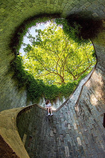 Trees, Architecture, Miscellanea, Miscellaneous, Girl, Stairs, Ladder, Bottom View HD phone wallpaper