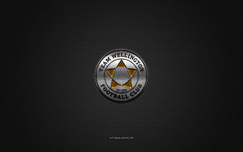 Team Wellington FC, New Zealand football club, yellow logo, gray carbon fiber background, New Zealand National League, football, Wellington, New Zealand, Team Wellington FC logo HD wallpaper