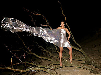 BRILLIANT SILVER DRESS.., night, brilliance, silver, beautiful, dress, woman, shinny HD wallpaper