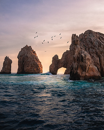 Nature, Birds, Water, Sea, Waves, Rocks HD phone wallpaper