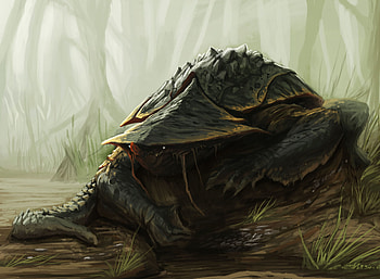 Shinobi Turtle, fantasy, creature HD wallpaper