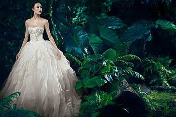 Lovely Bride, model, plants, bride, woman HD wallpaper