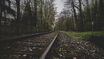Railroad Turn Between Trees Buildings Under Blue Sky Nature HD wallpaper