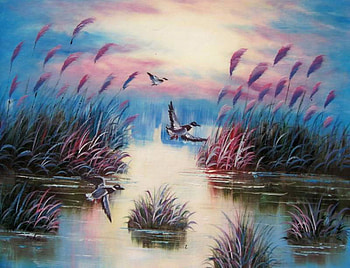 My Little Piece Of Nature, ducks, grasses, bulrushes, lake, sunset, evening HD wallpaper