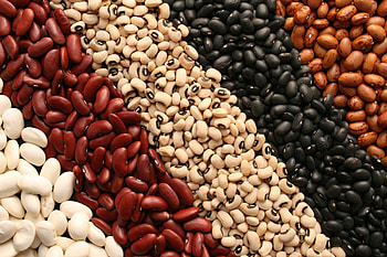 Cook dried beans, Versatile pantry staple, Fiber-rich goodness, Endless culinary possibilities HD wallpaper