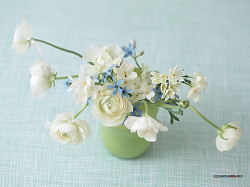 Little Miss Dainty, blues, whites, soft, vase, florals, colours, spring, fresh, pastals, delicate, cuts, green, girlie, flowers HD wallpaper