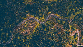 Explore the mesmerizing aerial view of a winding road cutting through the dense forest in Batang Kali, Malaysia. HD wallpaper