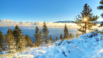 Lake Tahoe in Winter, California, sky, snow, sunshine, trees, landscape, usa HD wallpaper