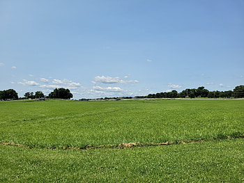 Open Field, Field, Green Field, Open Green Field HD wallpaper