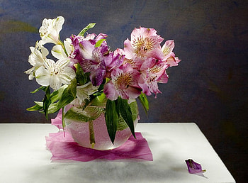 Flowers for my friend Jackii (Jacqueline ), colorful, white, bouquet, color, vase, fresh, beauty, still life, pink, delicate, nature, flowers HD wallpaper