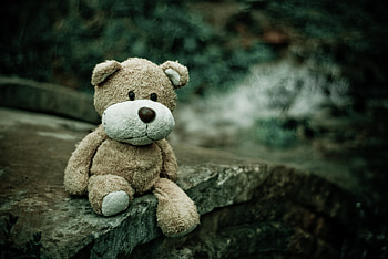 Teddy Bear, Miscellanea, Miscellaneous, Bear, Soft Toy HD wallpaper