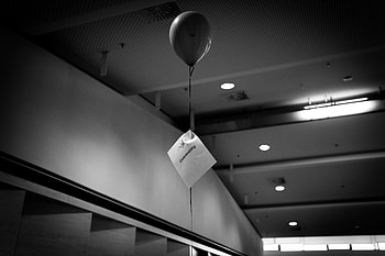Words, Balloon, Bw, Chb, Inscription HD wallpaper