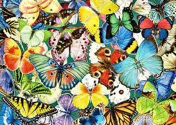 Plethora of Butterflies, artwork, butterflies, wide screen, wildlife, painting, art, beautiful HD wallpaper