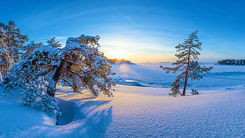 Kotka-Hamina, Finland, snow, sunrise, trees, landscape, sky, sun HD wallpaper