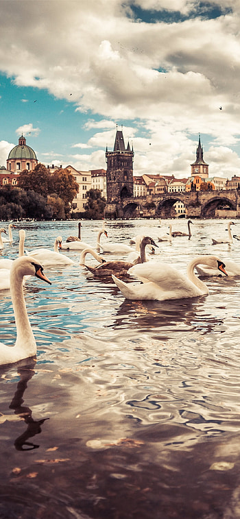 Czechia (Czech Republic), , Best collection, Travel HD phone wallpaper