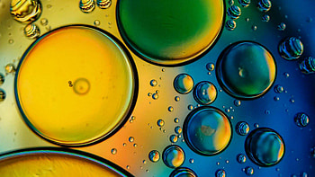 Oil Liquid Bubbles Abstraction Abstract HD wallpaper