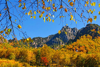 Autumn mountain, serenity, nice, quiet, trees, autumn, calm, fall, beautiful, rocks, mountain, falling, leaves, cliffs, valley, branches, nature, sky, lovely, peak, foliage HD wallpaper