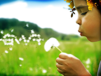 Plants, People, Children, Dandelions HD wallpaper