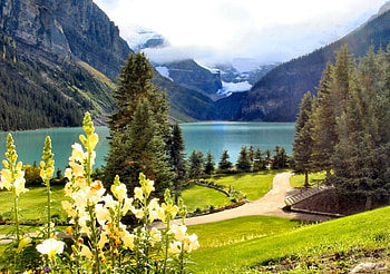 Lake Louize, Canada, walk, mist, wildflowers, shore, Louize, Canada, landscape, beautiful, grass, lake, mountain, rest, view, nature, sky, flowers, lovely HD wallpaper