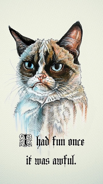 Funny Memes, Grumpy Cat HD phone wallpaper