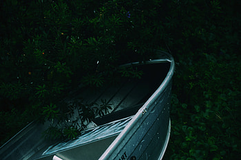 Plants, Nature, Dark, Branches, Boat HD wallpaper