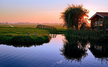 Nature, Sunset, Ducks, House, Village, Pond HD wallpaper