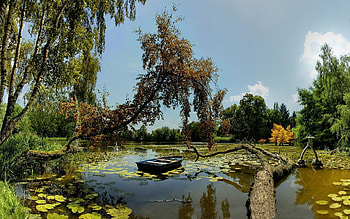 Nature, Trees, Sky, Clouds, Water Lilies, Reflection, Boat, Dead, Log, Kindergarten, Day Care HD wallpaper