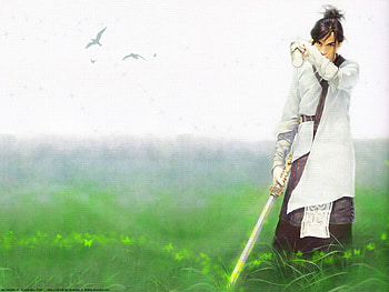 chenshufen, birds, sword, anime, fantasy, nature, flowers, grass, warrior HD wallpaper
