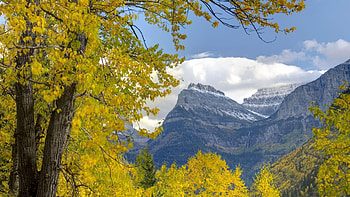 Nature, Trees, Mountains, Autumn, Leaves, Branches, Branch, Dahl, Distance HD wallpaper