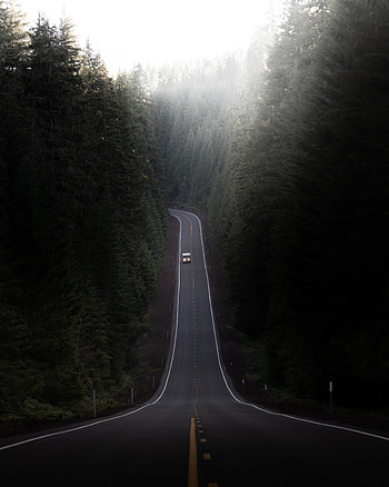 Nature, Trees, Road, Car, Hill, Valley HD phone wallpaper