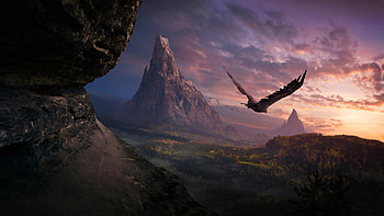 Eagle Flight, eagle, artist, artwork, digital-art, birds, artstation HD wallpaper