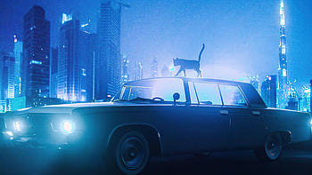 Cat Walking On Car Blue Night , cat, artist, artwork, digital-art HD wallpaper