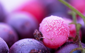 Forest fruits, delicious, beautiful, fruits, food, nice, summer, purple, pink, violet, autumn, juicy, nature, forest HD wallpaper
