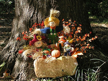 HALLOWEEN FUN, pumpkins, dolls, scarecrows, trees, autumn, flowers, grass HD wallpaper